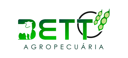 Bett